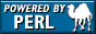 Perl server